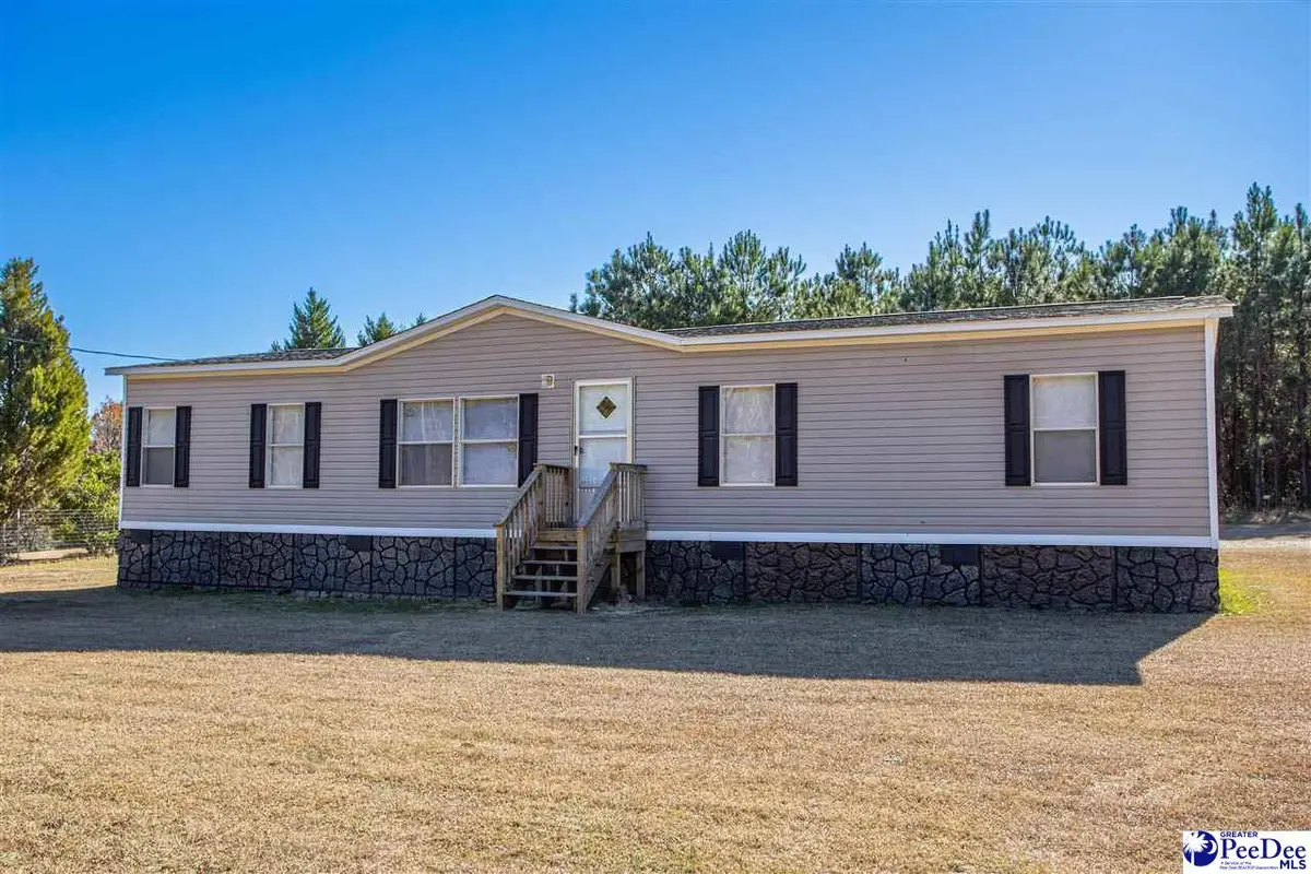 117 Chewning Street, Bishopville, SC 29010-0000 - Image #1