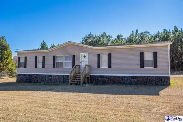 117 Chewning Street, Bishopville, SC 29010-0000