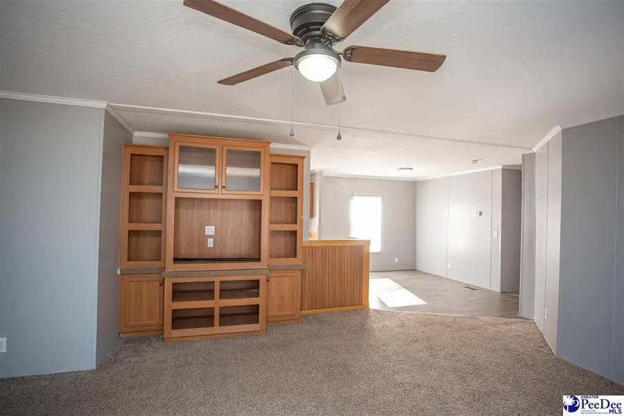 117 Chewning Street, Bishopville, SC 29010-0000 - Image #2