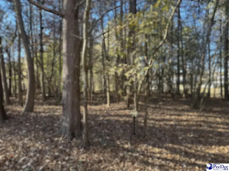 4604 Bon Rea Drive, Lancaster, SC 29720 - Image #3