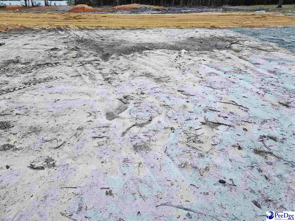 3515 Ballpark Rd., Effingham, SC 29541-4237 - Image #1