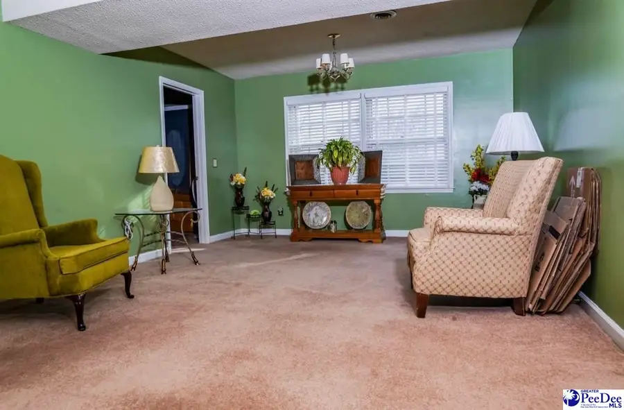 466 Dudley Rd, Latta, SC 29565 - Image #2