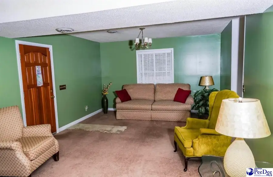 466 Dudley Rd, Latta, SC 29565 - Image #3