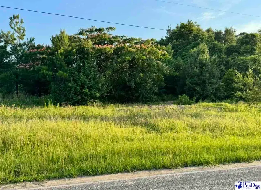 TBD Covington Rd, Marion, SC 29571 - Image #3