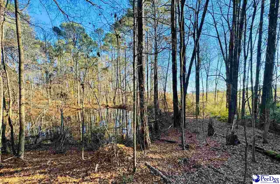 665 Hwy 145 South, Chesterfield, SC 29709 - Image #3