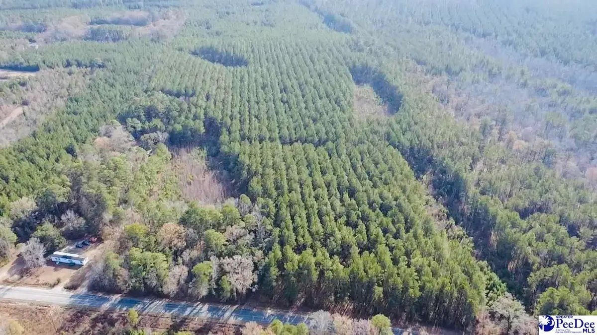 9214 Kingstree Highway, Greeleyville, SC 29056 - Image #1