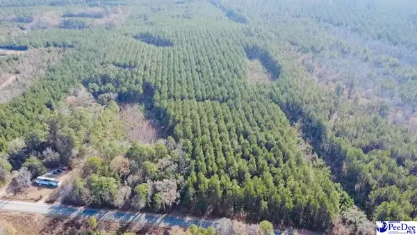 9214 Kingstree Highway, Greeleyville, SC 29056