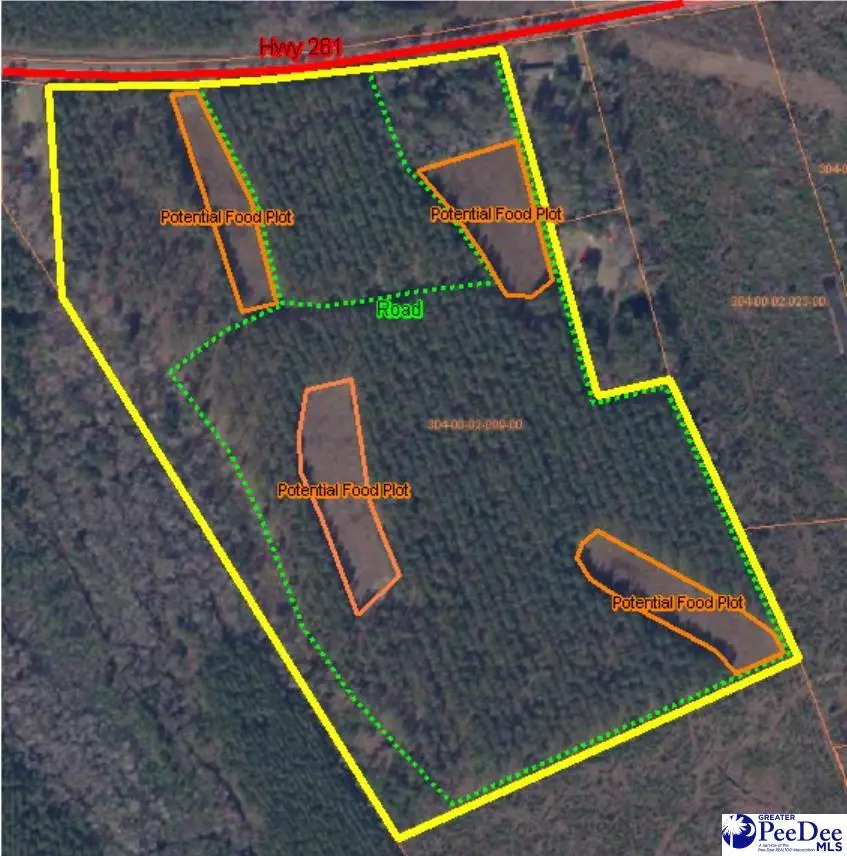 9214 Kingstree Highway, Greeleyville, SC 29056 - Image #2