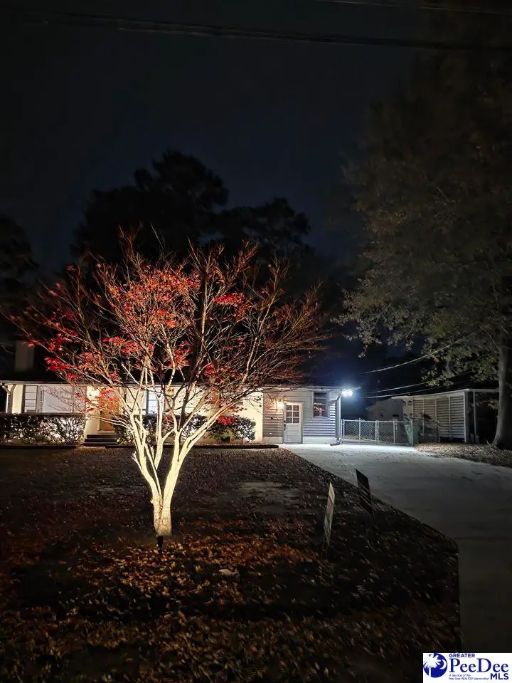 1162 Pinckney Ave, Florence, SC 29505 - Image #3