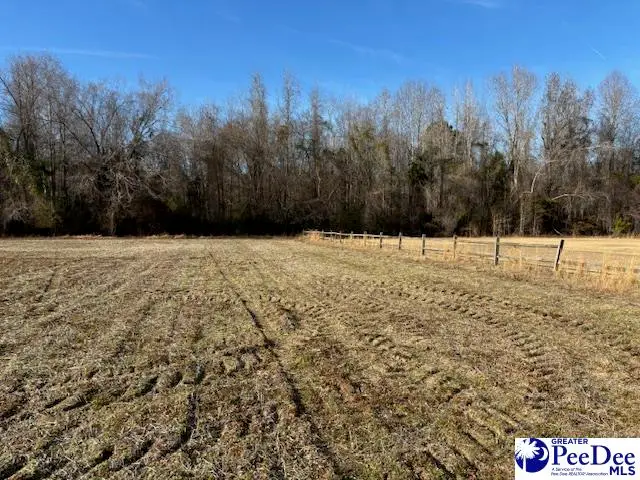 Tbd Timmons Rd, Effingham, SC 29541 - #2