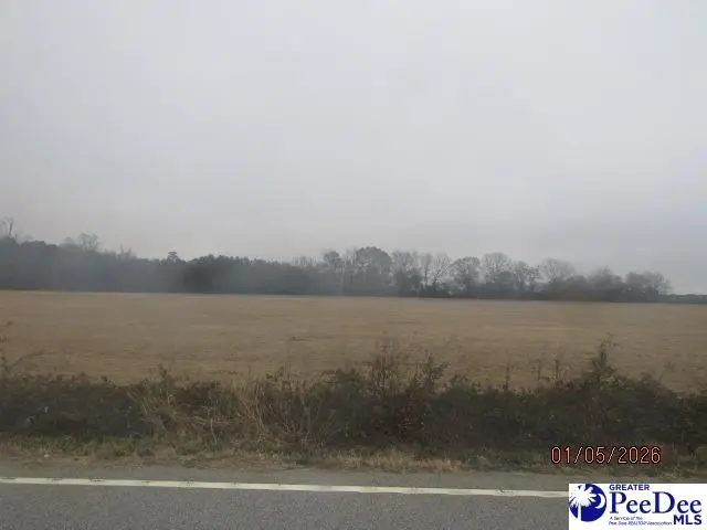 Sinclair Road, Dillon, SC 29536 - Image #1