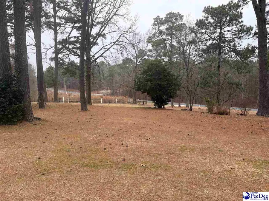 4535 Lightwood Road, Bennettsville, SC 29512 - Image #3