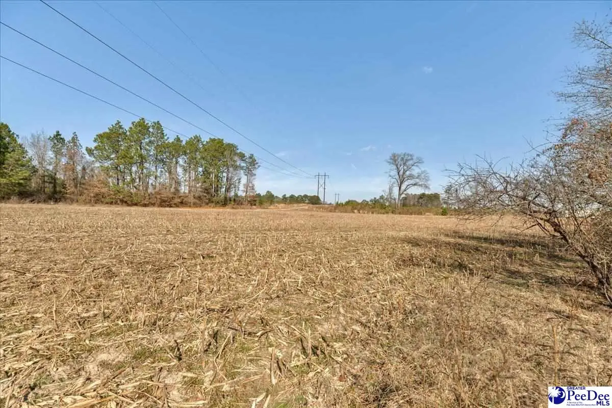 TBD W Bobo Newsom Hwy, Hartsville, SC 29550 - Image #1