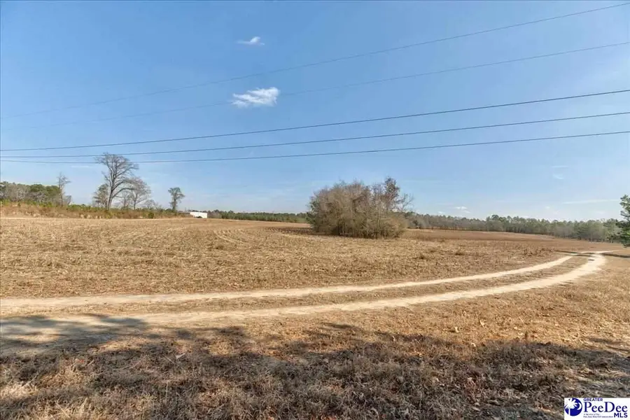 TBD W Bobo Newsom Hwy, Hartsville, SC 29550 - Image #2