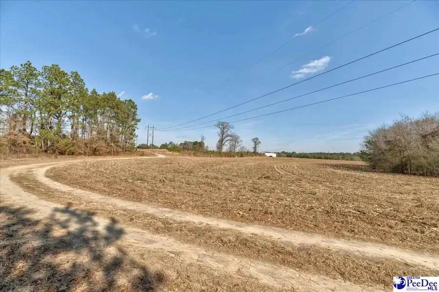 TBD W Bobo Newsom Hwy, Hartsville, SC 29550 - Image #3