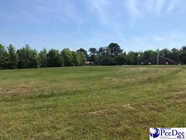 1.45 ac Tract State Rd, Cheraw, SC 29520 - #2