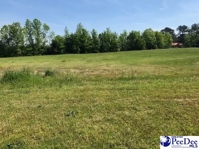 1.45 ac Tract State Rd, Cheraw, SC 29520 - #3