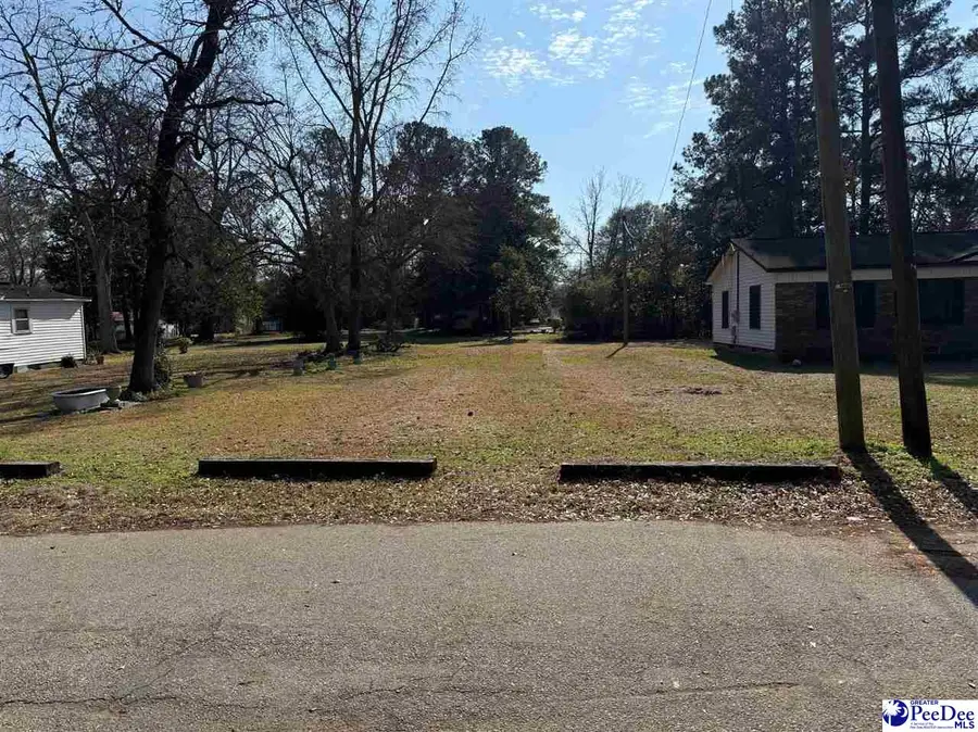 TBD Dillon Street, Mullins, SC 29574 - Image #2