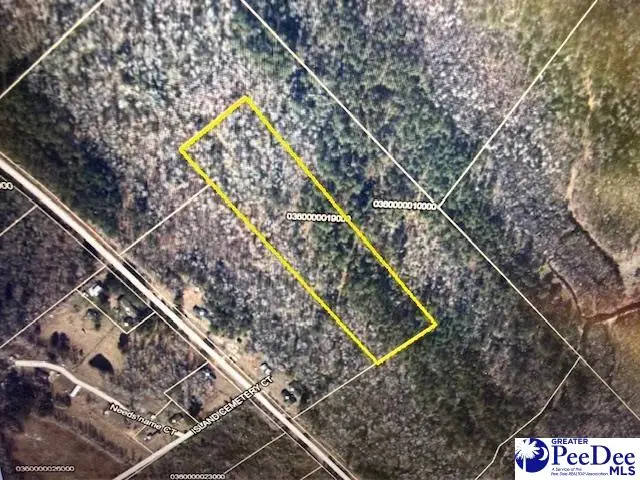 TBD Pee Dee Island Road, Nichols, SC 29581 - #2