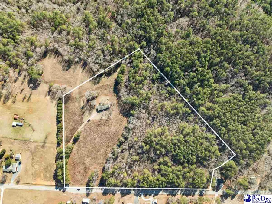 102 Dolly Moore Lane, Chesterfield, SC 29709 - #2