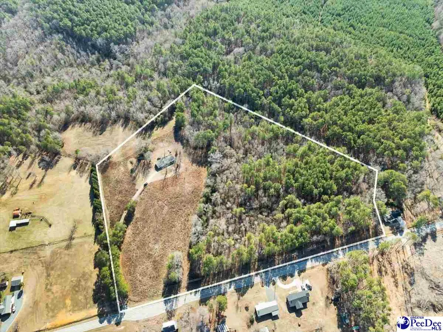 102 Dolly Moore Lane, Chesterfield, SC 29709 - #3