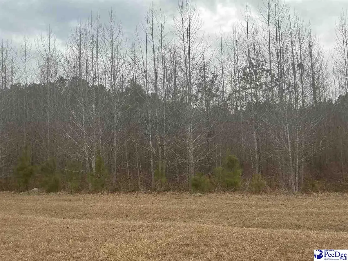 Chance Lane, Salters, SC 29590 - #1