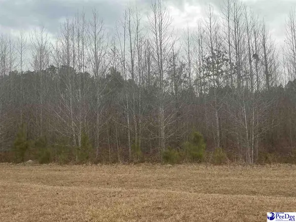 Chance Lane, Salters, SC 29590