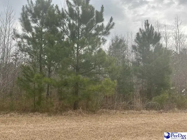 70 Chance Lane, Salters, SC 29590