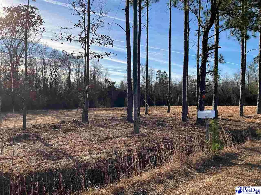 4335 Watermill Rd., Mullins, SC 29574 - Image #2
