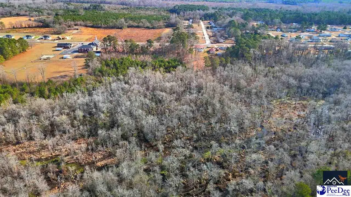 TBD Powell Court, Dillon, SC 29536 - Image #1