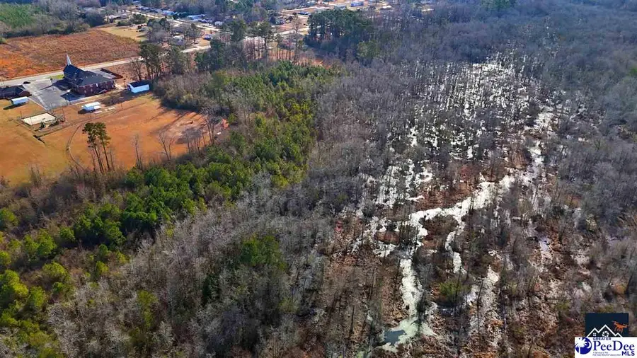 TBD Powell Court, Dillon, SC 29536 - Image #2