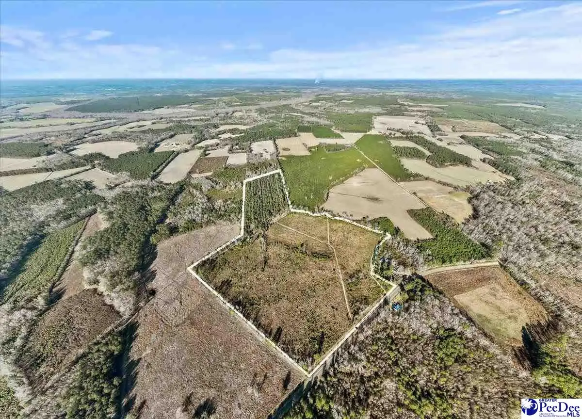 TBD Witherspoon Road, Kingstree, SC 29556 - #1