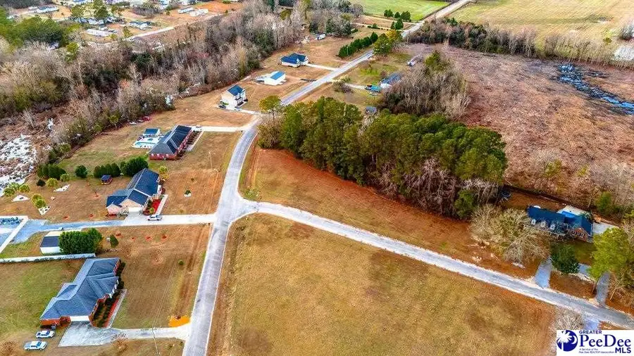 701 Pilots Lane, Timmonsville, SC 29161 - Image #2