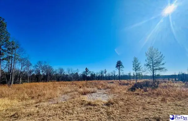 Woodbine Rd, Cheraw, SC 29520