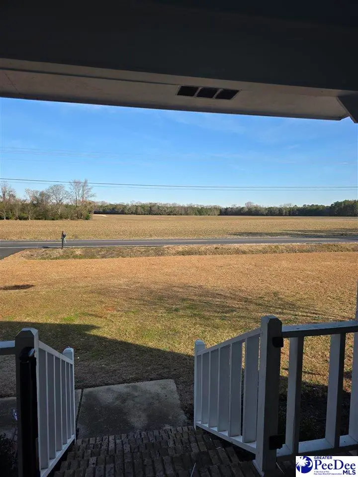 1737 Indian Branch Rd, Darlington, SC 29532 - Image #3