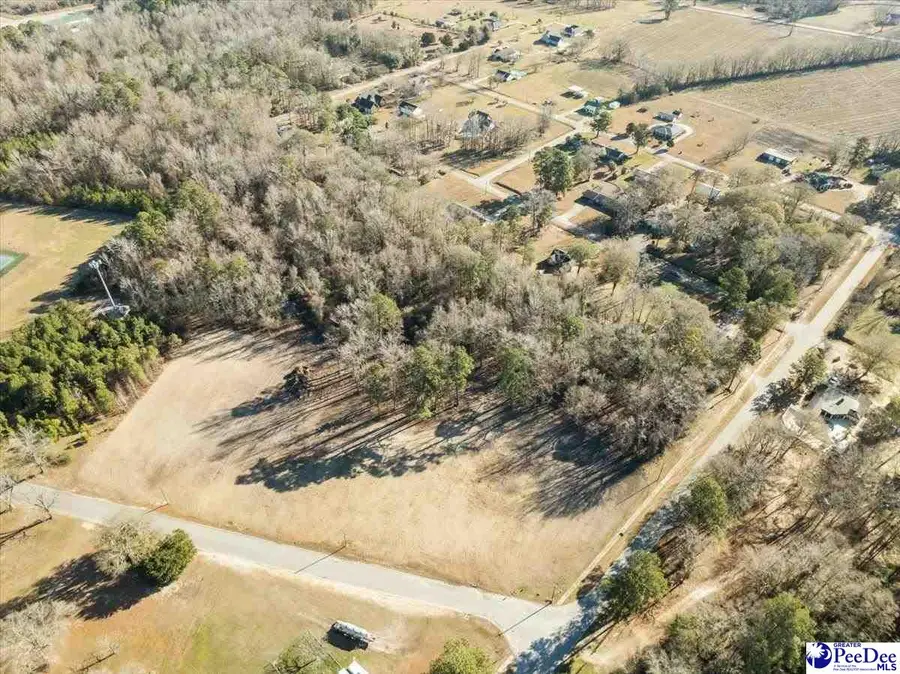 Lot 1 TBD Green Street, Turbeville, SC 29162 - #3