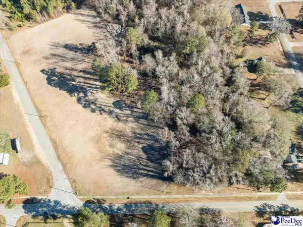 Lot 3 TBD Green Street, Turbeville, SC 29162