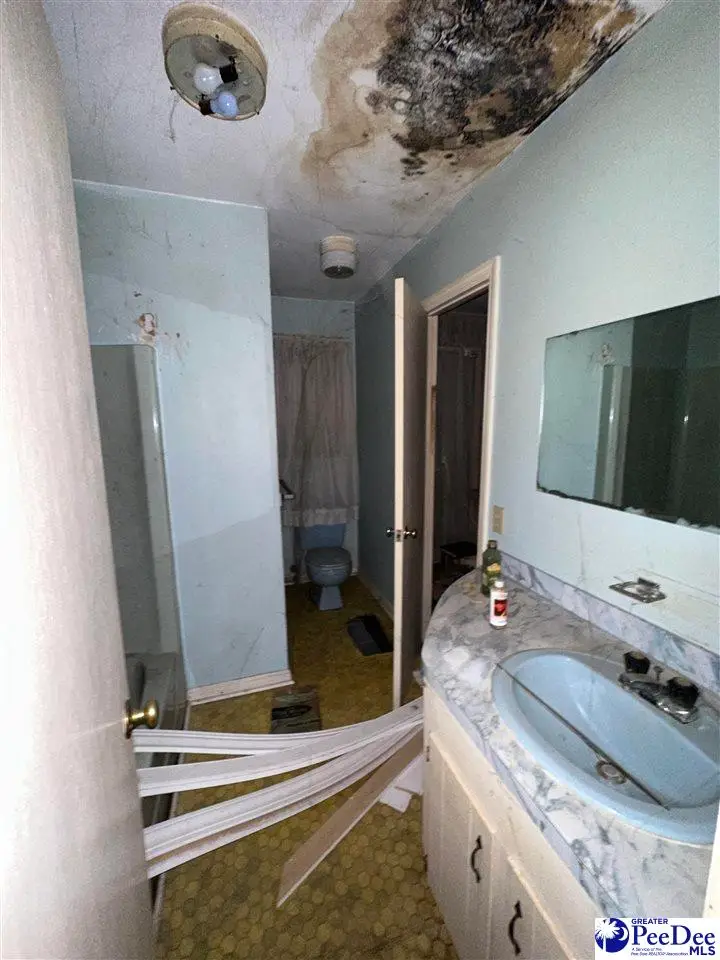 348 Peter, Lake City, SC 29560 - Image #3