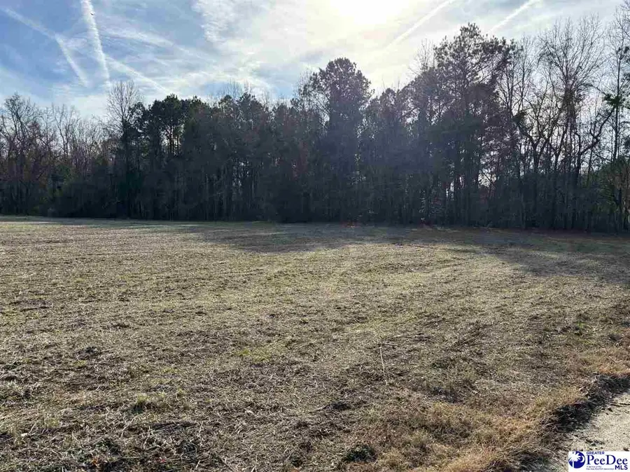 Tbd Indigo Landing Rd Lot 3, Scranton, SC 29591 - #2