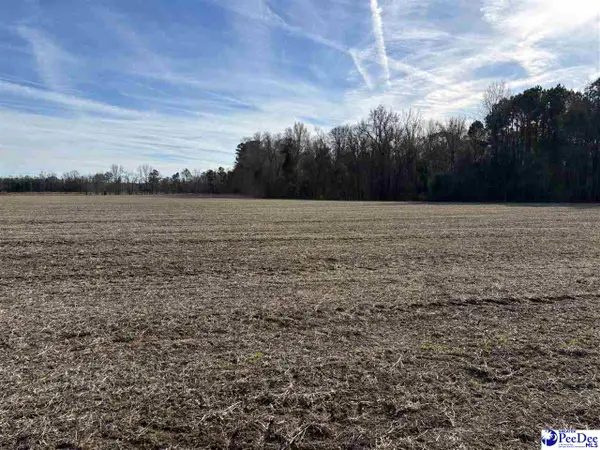 Tbd Indigo Landing Rd Lot 4, Scranton, SC 29591