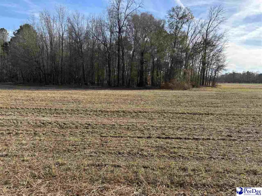 Tbd Indigo Landing Rd, Scranton, SC 29591 - #2