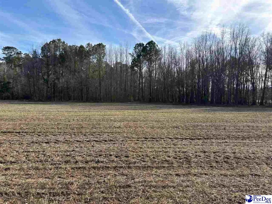 Tbd Indigo Landing Rd, Scranton, SC 29591 - #3