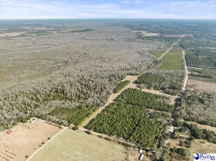 8035 Kingstree Hwy, Manning, SC 29102 - Image #3