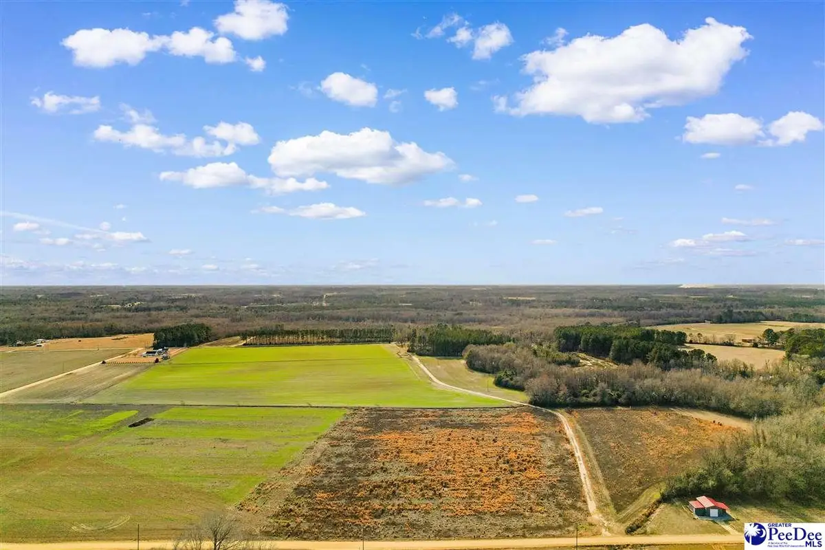 tbd Acacia Drive, Dillon, SC 29536 - Image #1