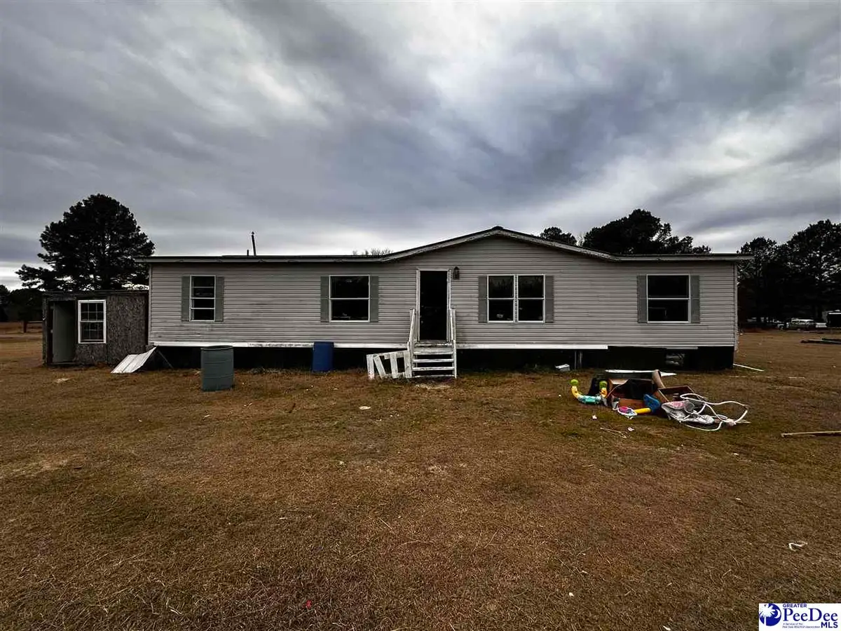 447 Annie Ln, Latta, SC 29565 - Image #1