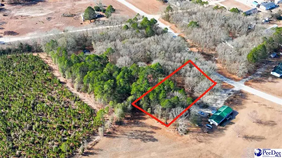 Lot 2 Ambergate Drive, Darlington, SC 29540 - Image #3