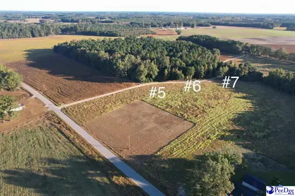 Lot 7 Neil Drive, Hamer, SC 29547