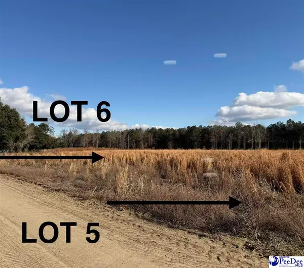 Lot 6 Neil Drive, Hamer, SC 29547