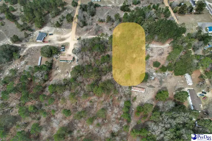 TBD Mattie Drive, Dillon, SC 29536 - #2