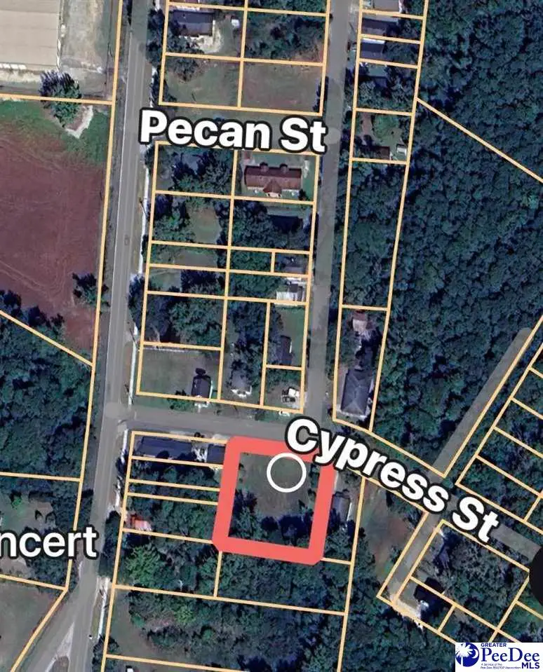 TBD Cypress Street, Dillon, SC 29536 - #1